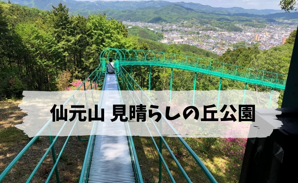 埼玉でおすすめの長いローラー滑り台 仙元山 見晴らしの丘公園 あおちゃん情報局